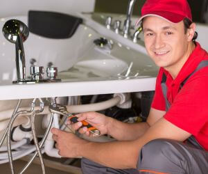 About Plumbers Pros Purling, NY